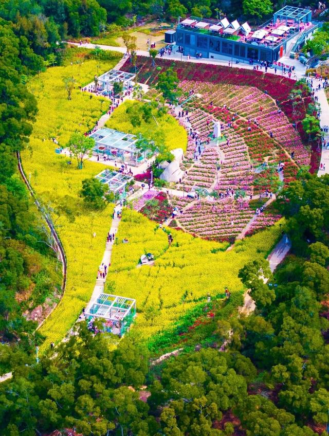 厦门山海健康步道花海线，起于狐尾山，终于东坪山，全长约15公里