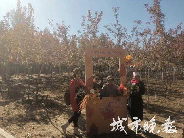 长春新增网红打卡地！红枫映伞影更添诗意