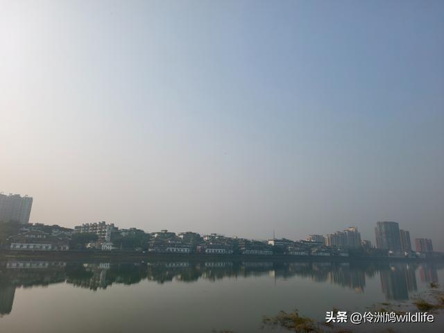 四川行(75)广汉②金雁湖公园·黑塔街·龙居寺