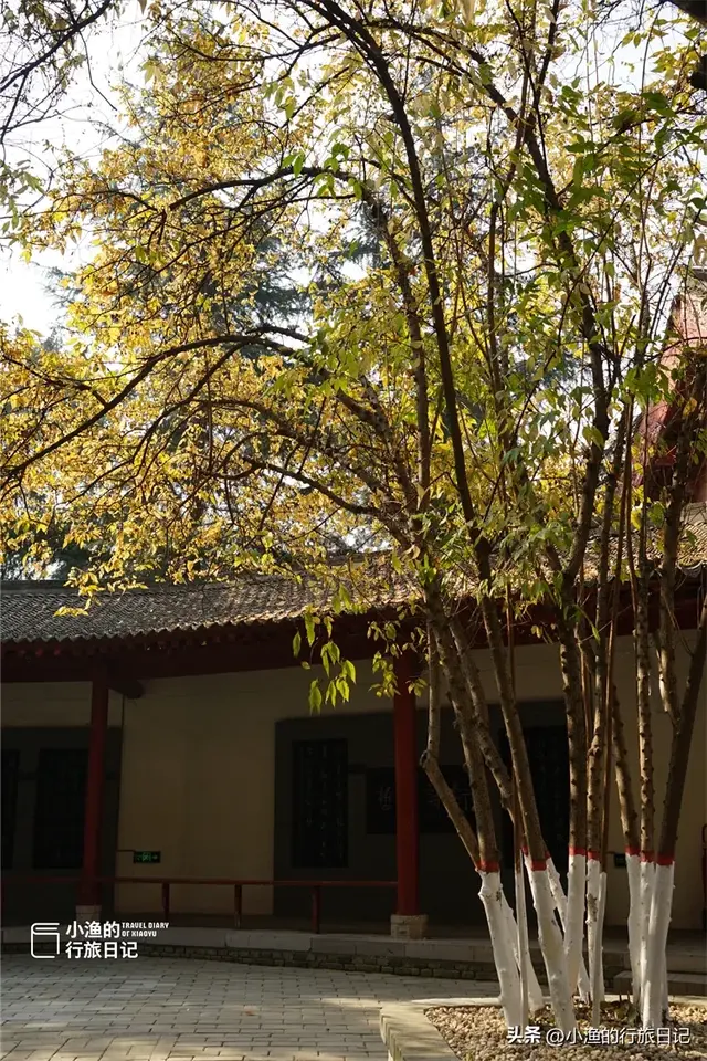 老西安都不知道的宝藏地：常年清静、游人不多，又到冬日最美时