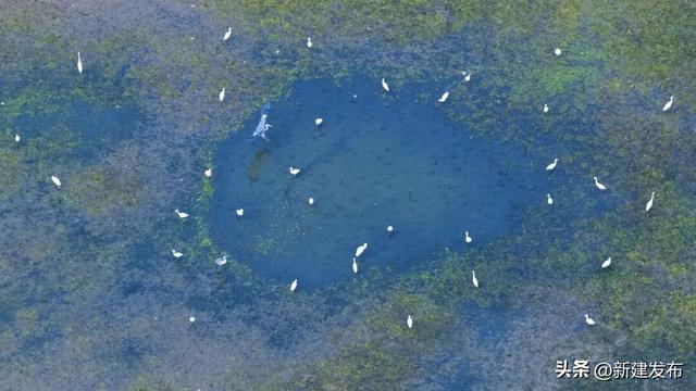 鄱阳湖畔的秋日舞会