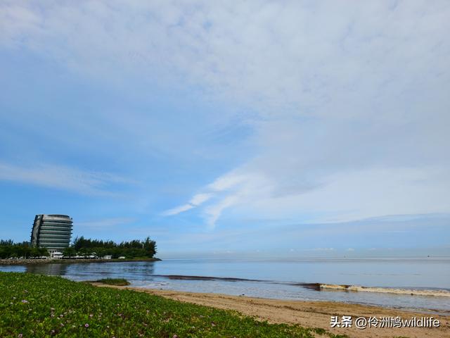 马来西亚(33)砂拉越州⑦美里市加拿大山、海滨公园等