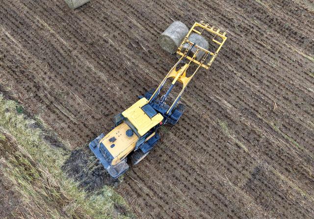 秋日的大杭州田间太“卷”了！胖乎乎的“瑞士卷”，一个一个又一个……