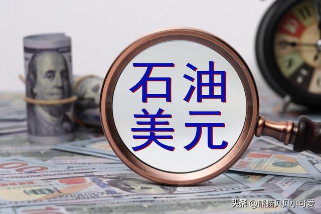 雅下水电工程的未来价值和影响