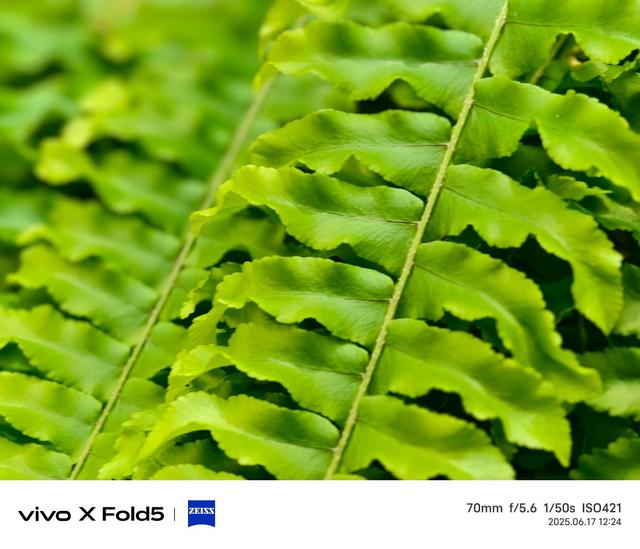 vivo X Fold5评测：苹果的好搭子