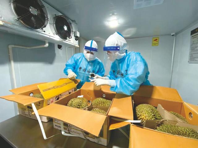失去中国市场后，大量水果烂地里卖不出去，如今开始后悔得罪中国