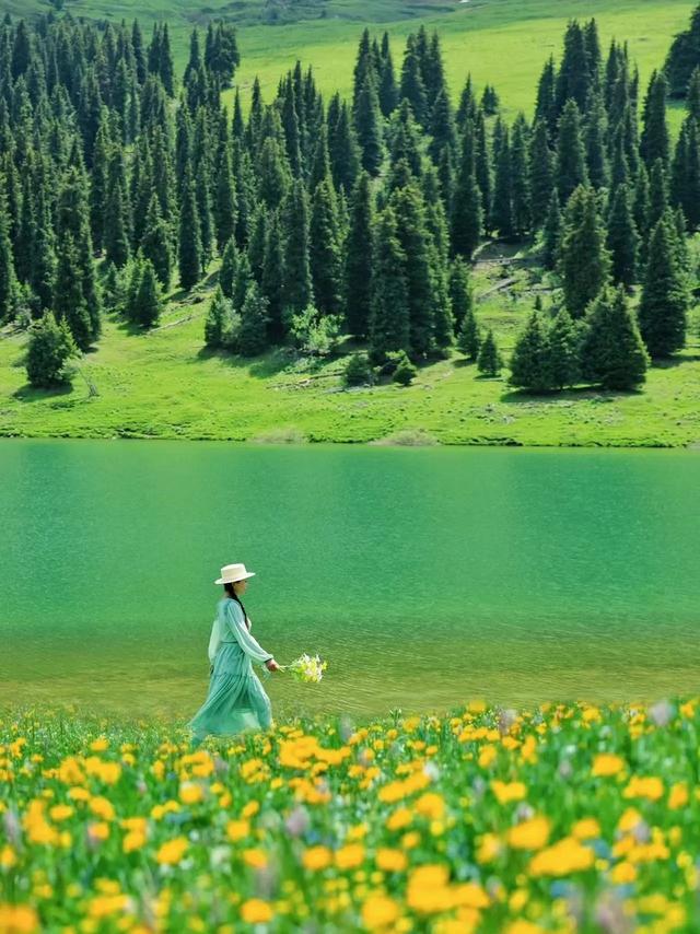 8月避暑超推荐这4个旅行地，忙累了，就冲进20℃的清凉夏日！