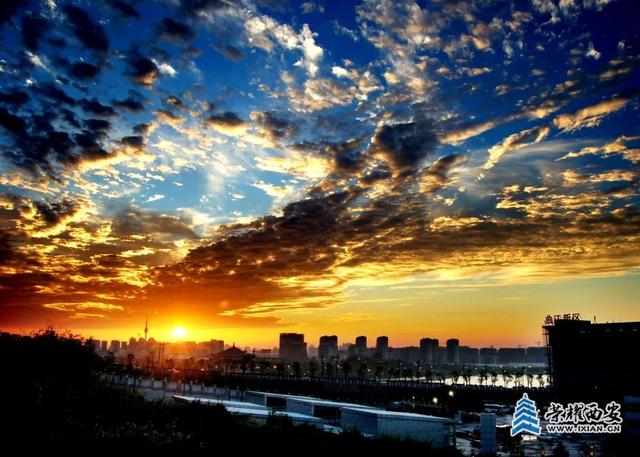 夜游指南｜在曲江池，把日子过成散文诗