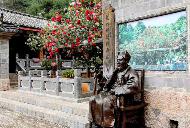 玉峰寺看山茶花