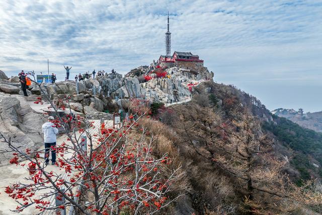 暮秋泰山，用绚烂迎接冬天的到来