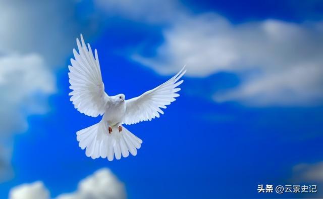 沉寂1天，高市早苗终于签字，日本砸9万亿反华	，解放军动作更大