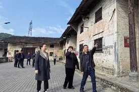 邓文一深入桂东县沙田镇龙头村调研指导乡村振兴工作图片