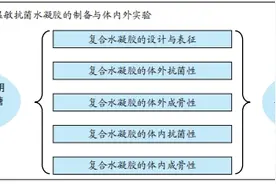 温敏抗菌水凝胶治疗感染性骨缺损图片