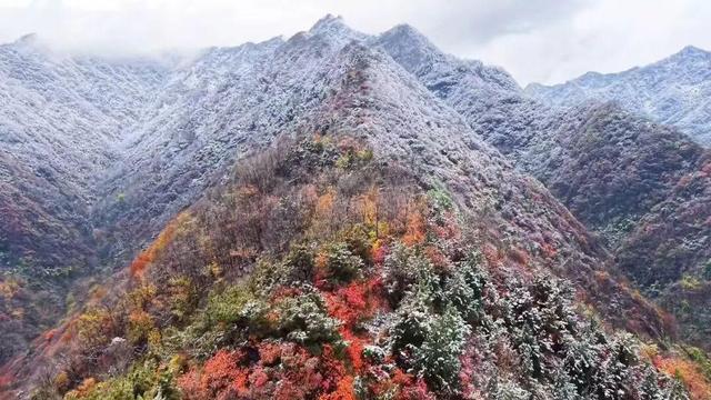 2025周至雪落！秦岭福地藏着水墨般的冬日浪漫～