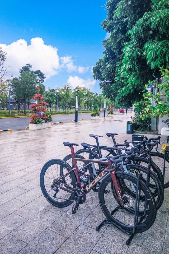 车轮丈量东江“最美身段”！东莞“三江六岸”成十五运会骑行热地