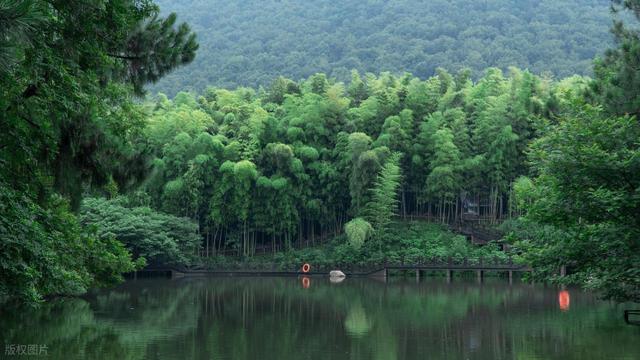 这座我去了又去的江南小城，魅力实在太大了