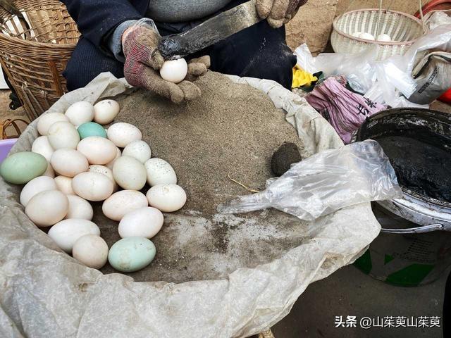 2023年春重庆探亲游（上篇）
