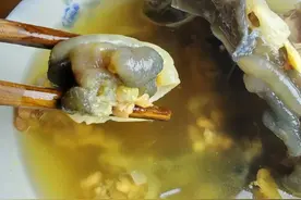 成功做出了好喝的甲鱼汤，不腥臭，汤鲜肉嫩，满是胶原蛋白！图片