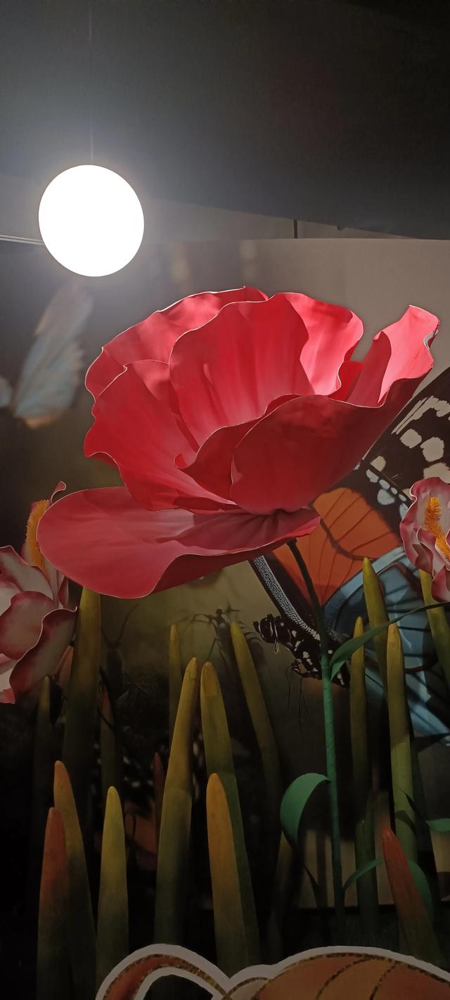 西安长安云昆虫展你来了吗
