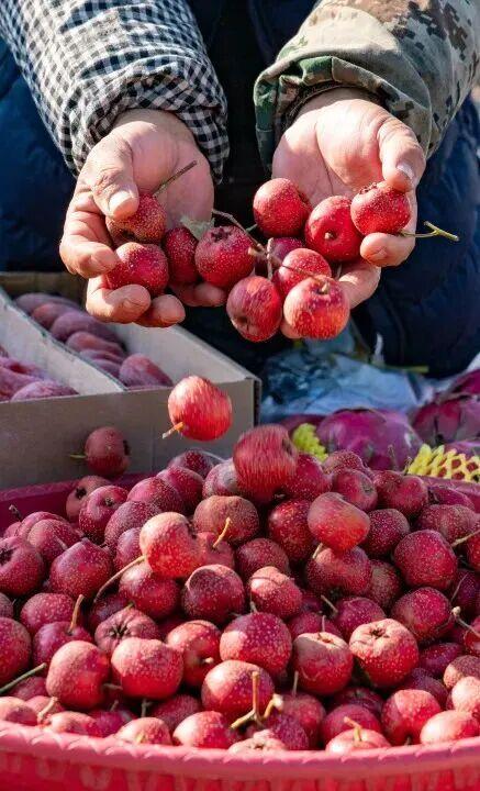 打卡限时浪漫，一键收藏隐珠街道最美秋色！