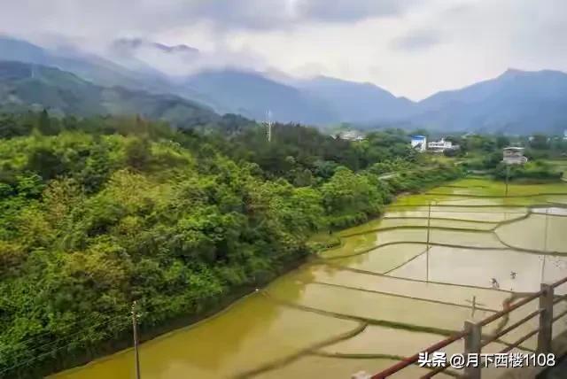 湘行散记,最真实的湖南农村现状令人唏嘘感叹