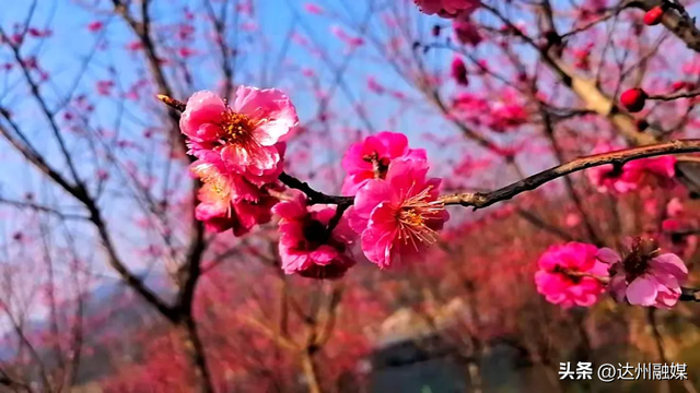 八台山向全世界的女性朋友免费开放，免费啦！免费啦！