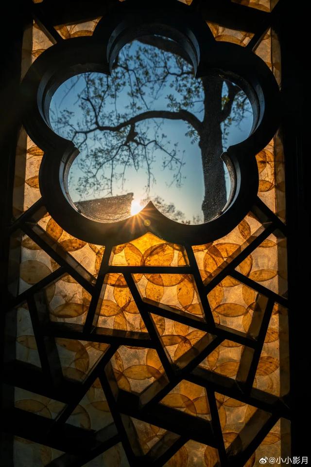 宜两亭回归！今年更火啦！