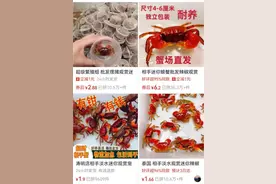 宠物界“新晋顶流”，竟然是它图片