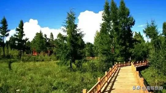 探秘北境绿宝石:大兴安岭寒温带植物园,邂逅四季的诗意栖居