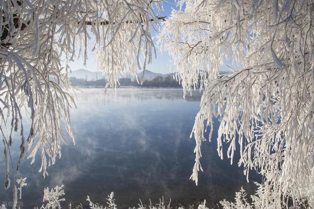 哈尔滨没想到，长春没想到，现在吉林怎么突然这么火出圈了！