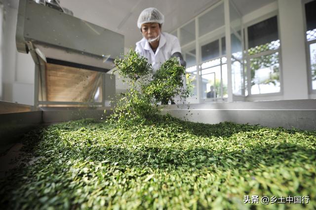 走遍中国·河北·承德·滦平