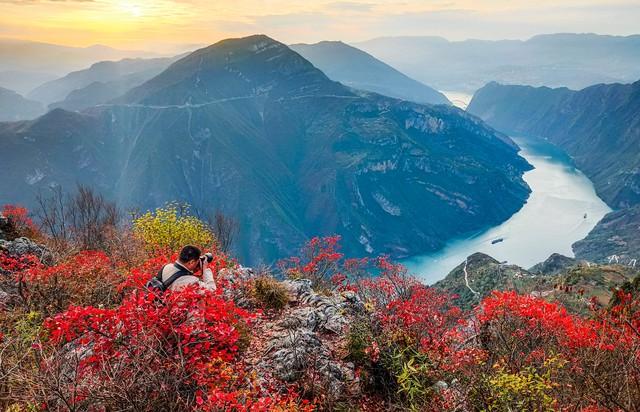 拿好不谢！重庆红叶季最全保姆级攻略，照着拍就对了！