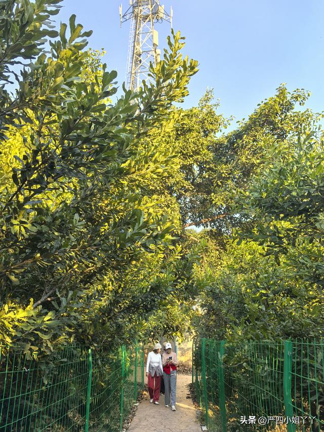 柯街黑温泉度假之旅，最后一个赶集日的烟火与日常