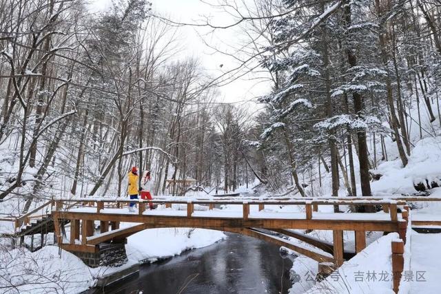 告别金秋，邂逅龙湾初冬！赏雪、观雾凇攻略，这两处景区别错过~
