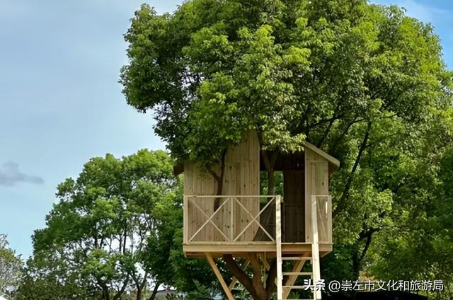 江门⇋崇左！江门街坊，这个暑假，崇左喊你免费游！