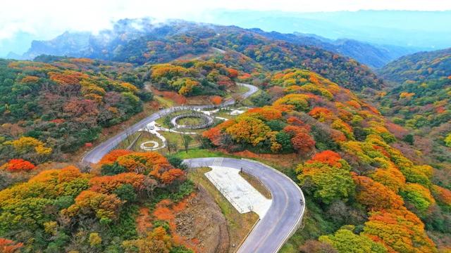 昨日实拍！层林尽染盐井峡，漫山红叶醉秋风，观赏正当时