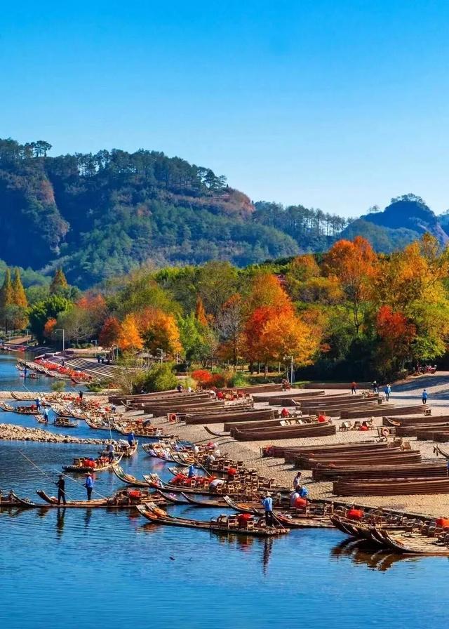 春来武夷 马上有福 | 这份“茶味中国年”攻略请收好