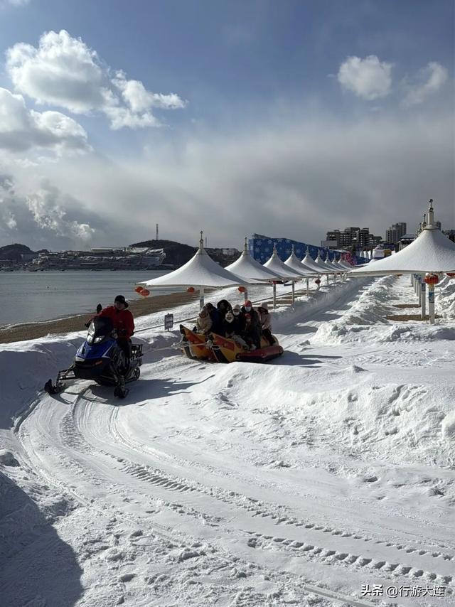 除了海，大连冬日“顶流”竟然是它们？