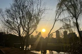 领取失业金要知道的一些事！医保这块要注意图片