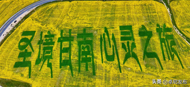 卓尼：油菜花开呈五彩景 夏日高原迎八方宾