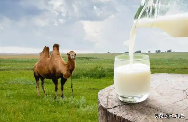 6万老人被骗600万！从“公益直播	”到榨干积蓄	，假驼奶产业链曝光