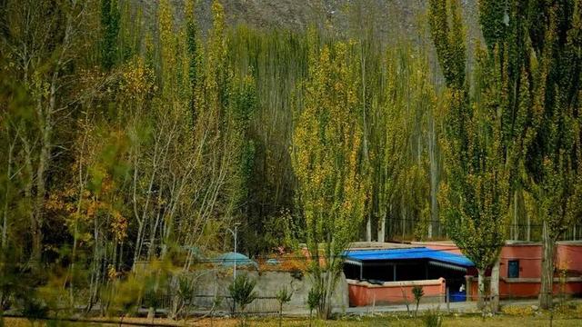 邢强 | 秋游南疆