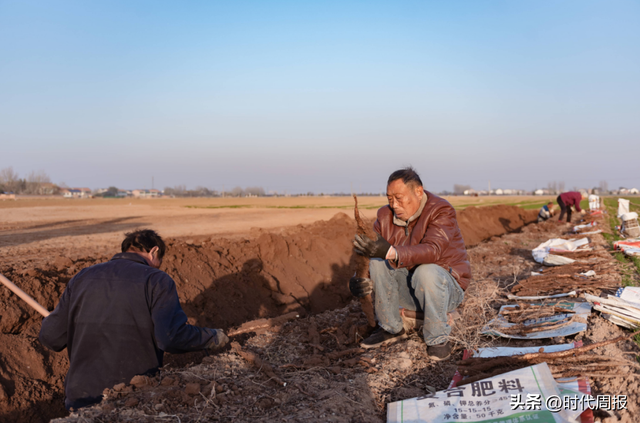 国科优选：以商业向善之力	，绘就乡村振兴新图景