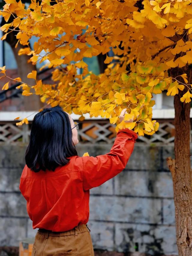 去观音寺，走走？