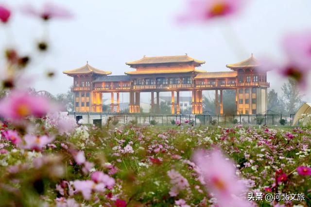 【遇见运河】沧州市：大运河畔秋景如画