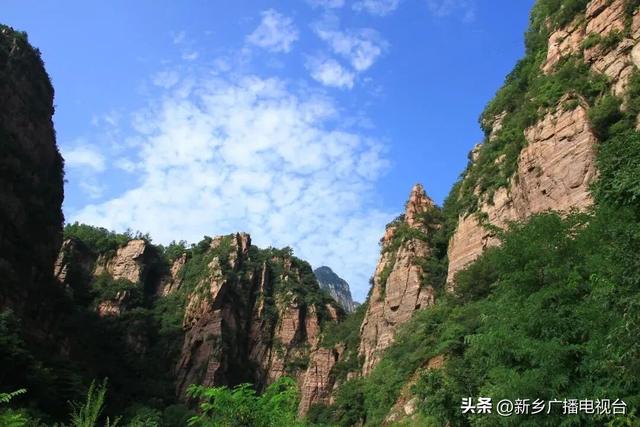 免票啦！“三八”妇女节，新乡邀您免费逛景区