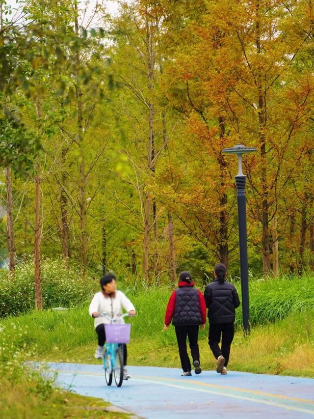 冬崃｜在泉水湖湿地公园，收藏整个冬天的浪漫与生机~
