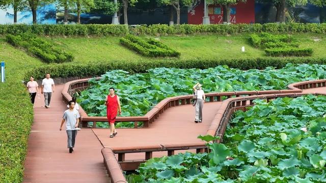 立秋送爽，太极湖新区成市民游客纳凉活力地