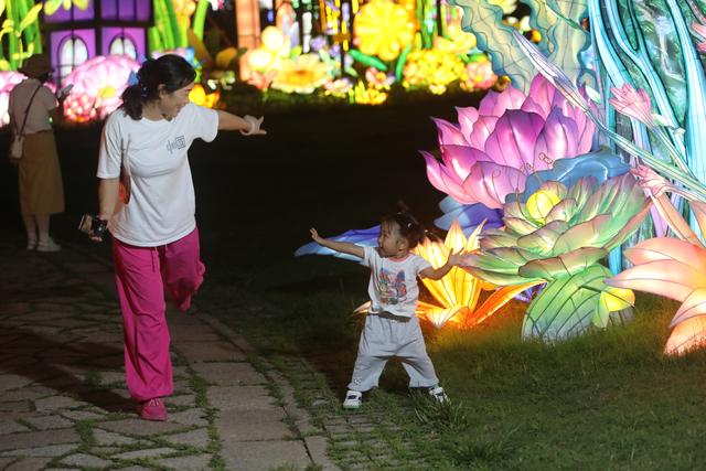 四重惊喜“灯”你来！“青岛之夏”艺术灯会推出精彩活动