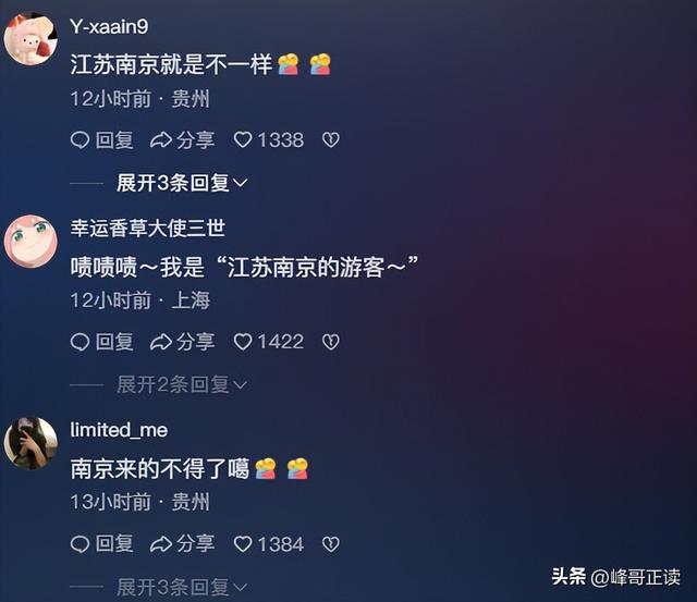后续！男子大骂景区大爷，身份被扒评论区沦陷，南京文旅意外躺枪